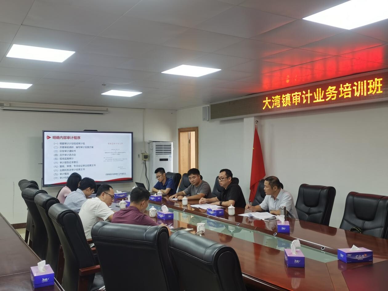 網(wǎng)站報道稿：以“真抓實干”的工作作風推動鎮(zhèn)級審計業(yè)務(wù)開展_1