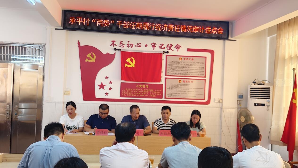 網(wǎng)站報道稿：以“真抓實干”的工作作風推動鎮(zhèn)級審計業(yè)務(wù)開展_2