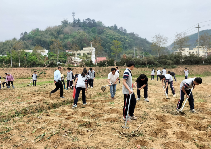 桂圩鎮(zhèn)初級中學(xué)學(xué)子赴桂圩龍崗村勞動教育基地開展農(nóng)耕實踐活動3.png