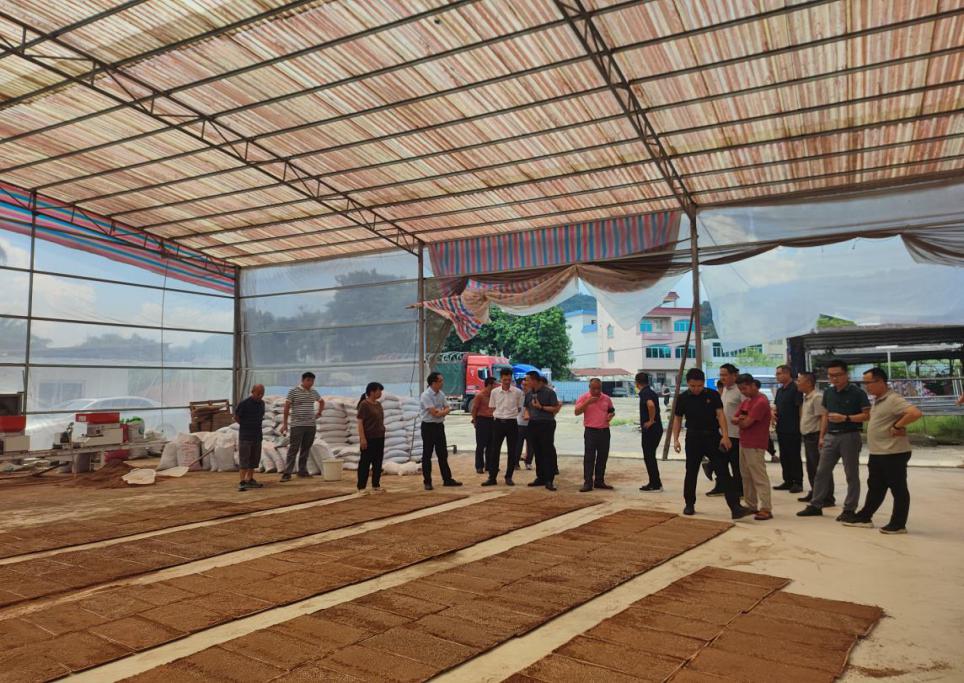 云浮市供銷社“供銷農(nóng)場”產(chǎn)銷對接活動在郁南舉辦.docx_1